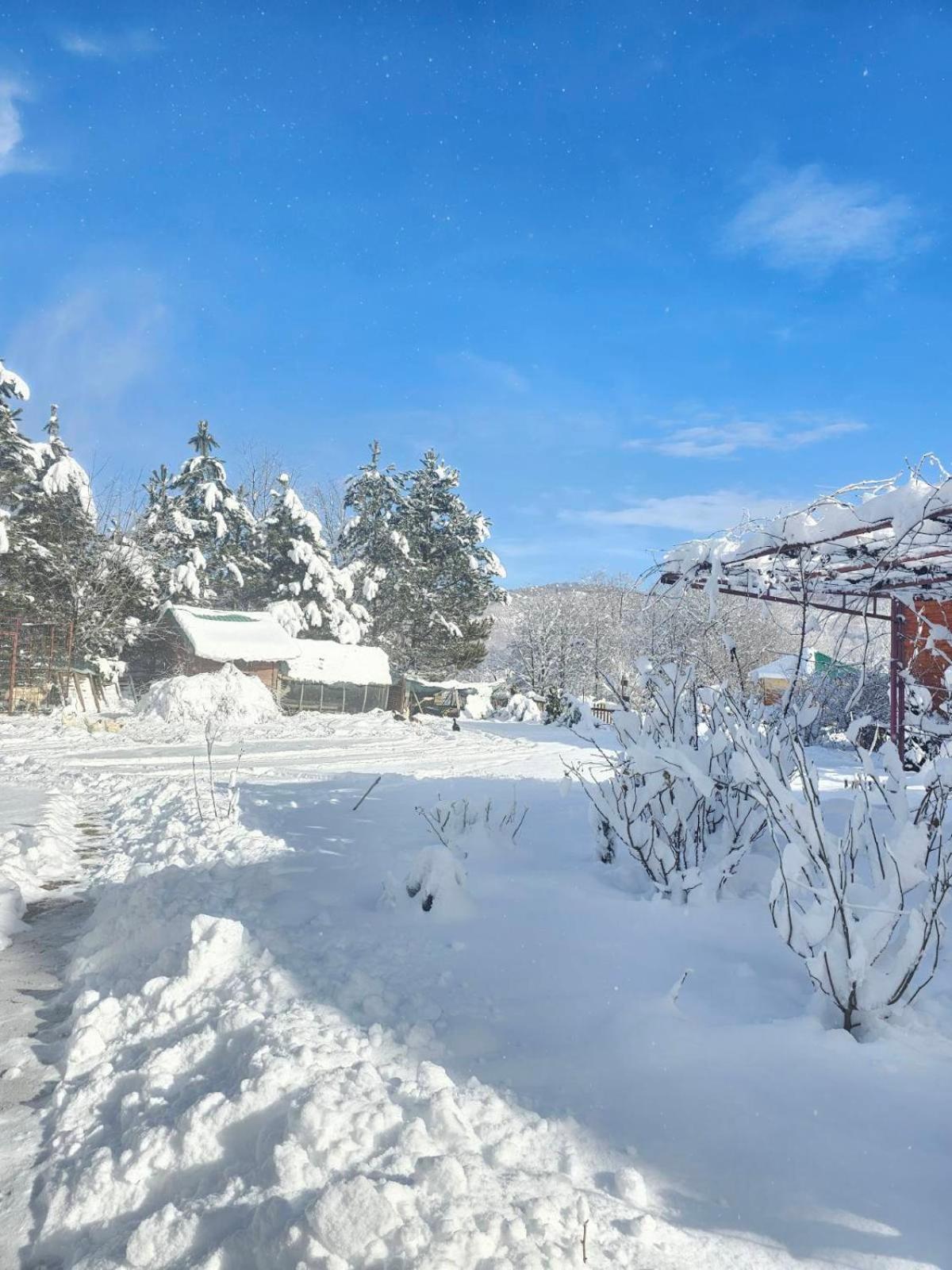 Konaci Oceva Zemlja Bungalovi Konaci Oceva Zemlja Vikendica Mojkovac Dış mekan fotoğraf