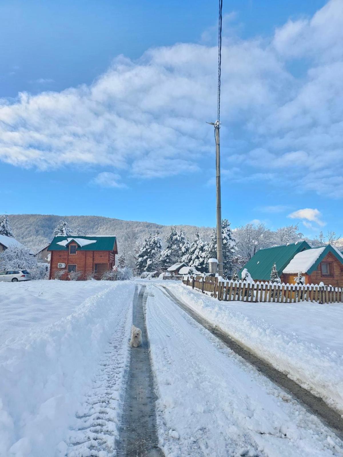 Konaci Oceva Zemlja Bungalovi Konaci Oceva Zemlja Vikendica Mojkovac Dış mekan fotoğraf